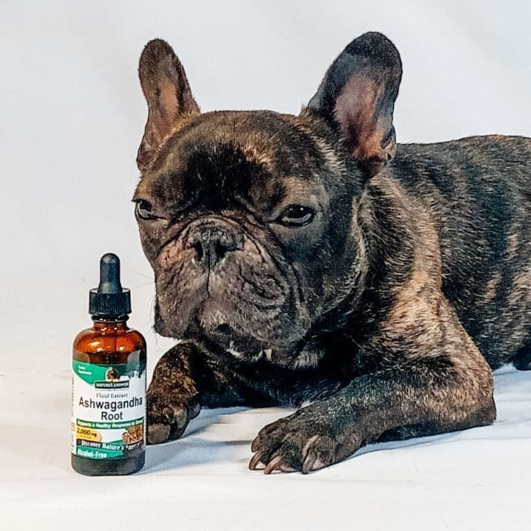 The Significant Health Benefits of Ashwagandha the Adaptogen in Dog Food