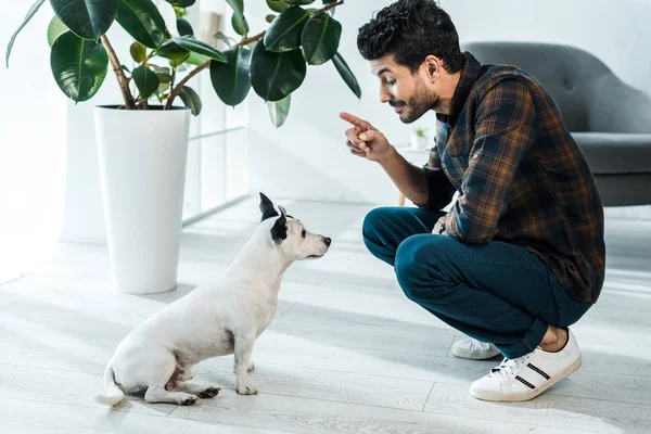 Giftige (en niet-giftige) planten voor honden: een uitgebreide gids