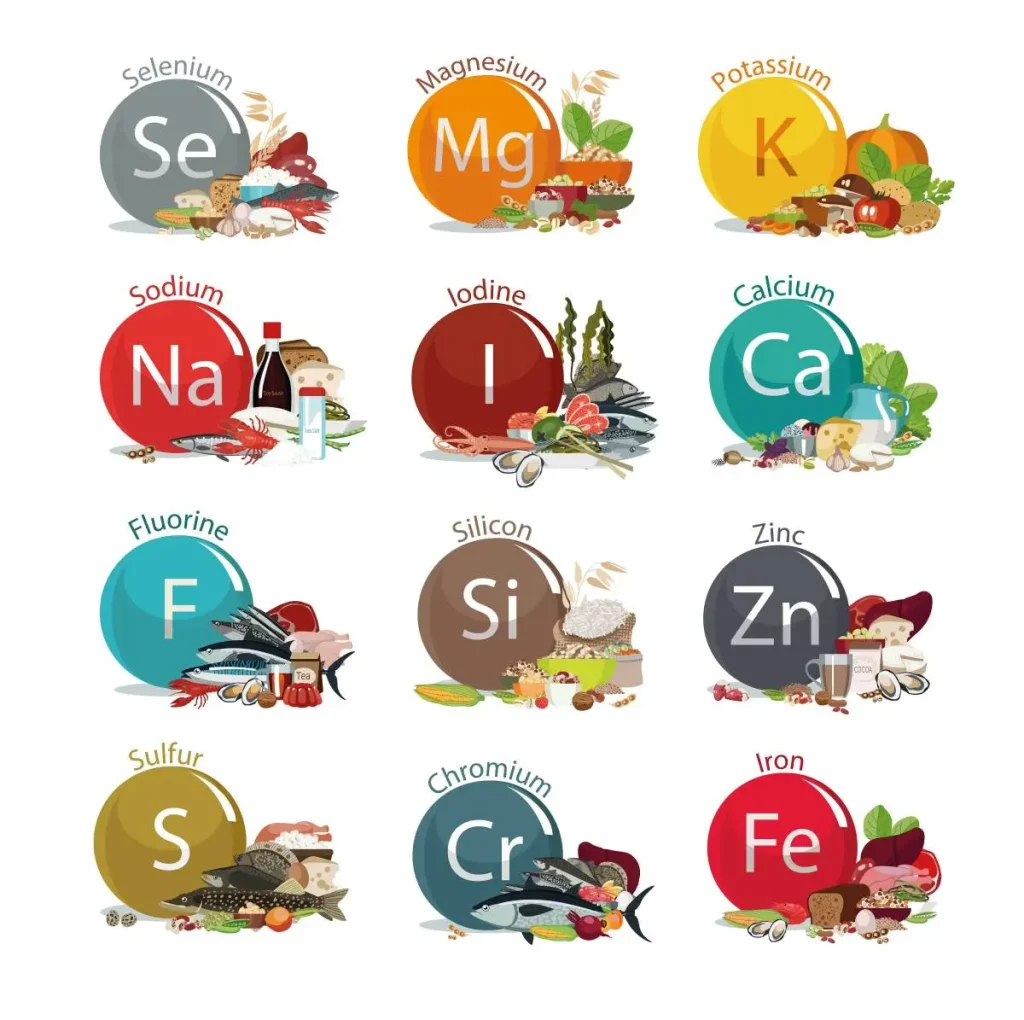 Trace Minerals for Dogs - Requirements and Impact