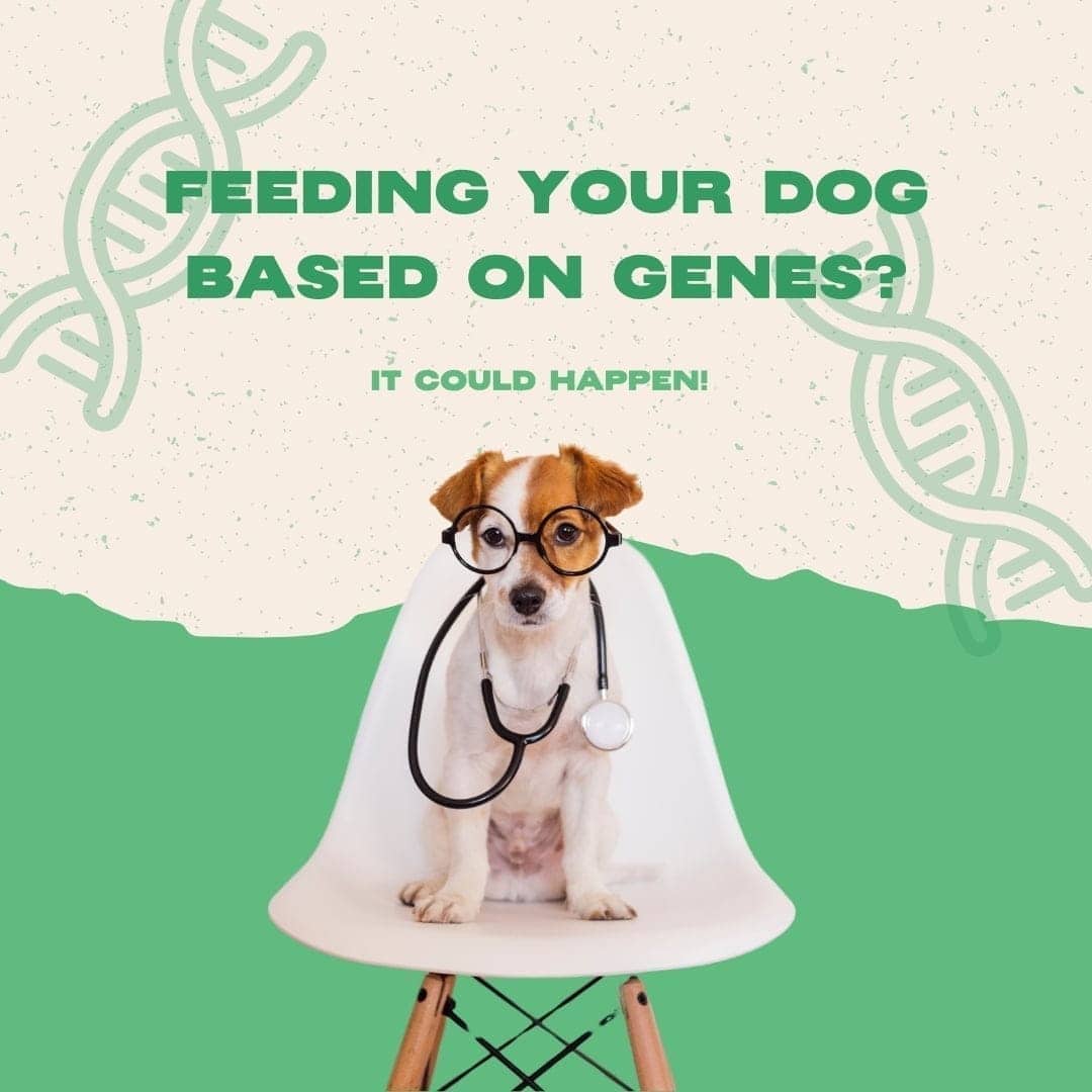 La -Ómica de la Salud de las Mascotas: Avances y Aplicaciones
