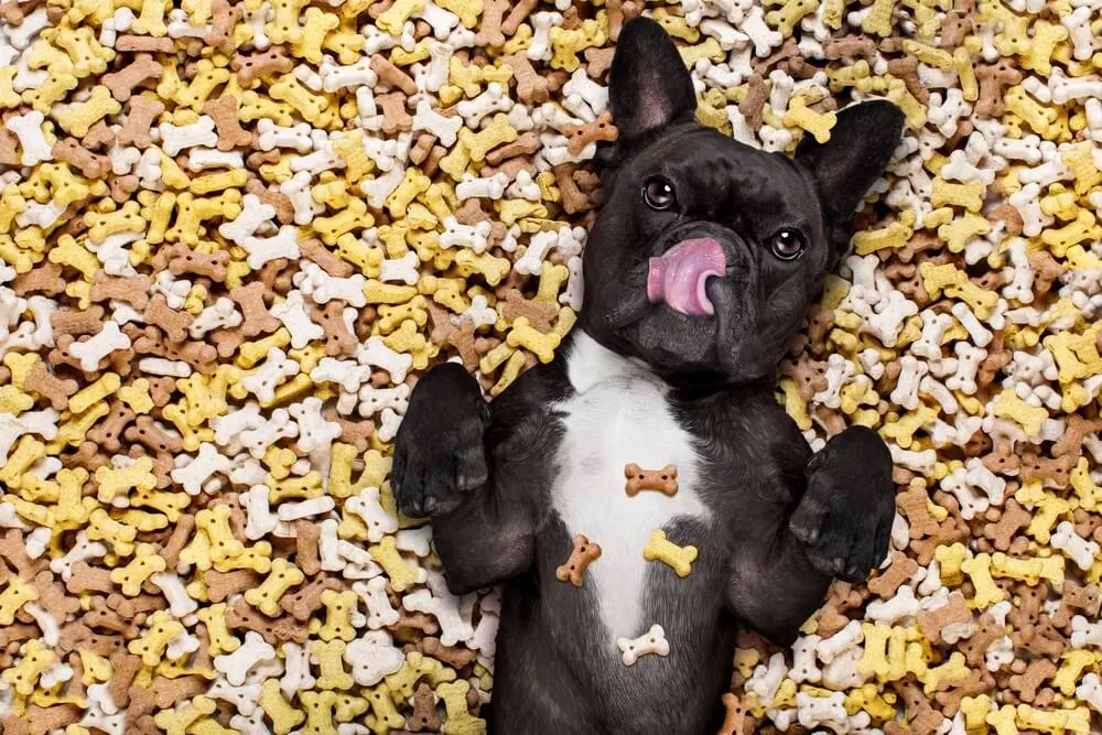 Vegan Dog Biscuits Ingredients and Recipes