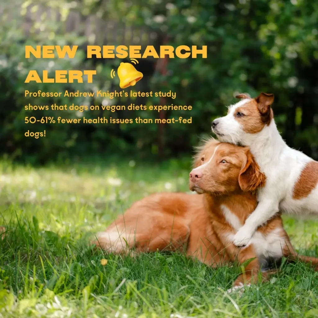 Vegan vs Meat-Based Dog Food Differences in Health Outcomes for Dogs