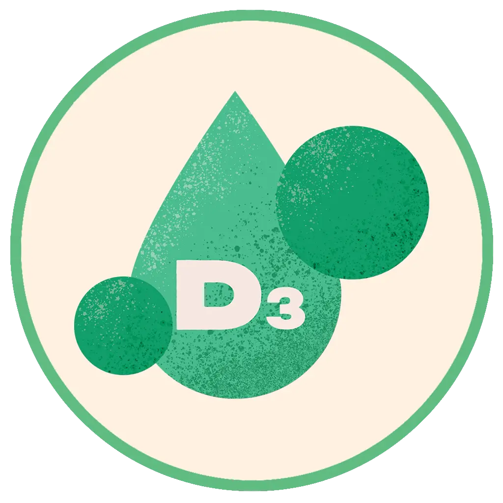 Vitamin D3 Supplement Impact and Benefits for Dog Health