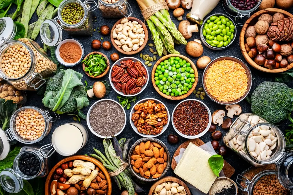¿Qué proteínas vegetales son adecuadas para los perros?