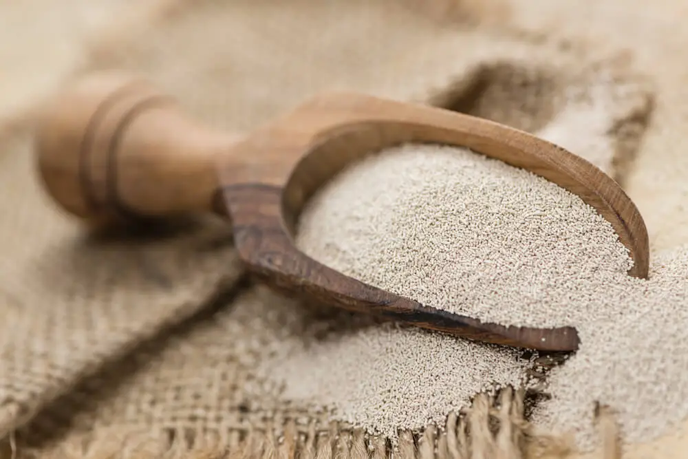 Yeast Hydrolysate Extract For Dogs Health Benefits