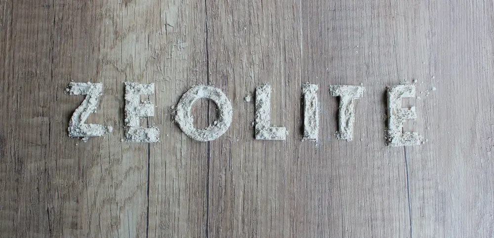 Zeolite Clinoptilolite for Dogs Natural Detoxification