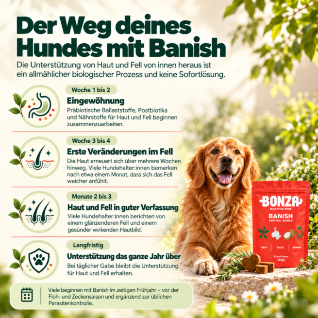Der Weg deines Hundes mit Banish