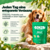 Tägliche Unterstützung für eine ausgeglichene Verdauung Tägliche Unterstützung für eine ausgeglichene Verdauung