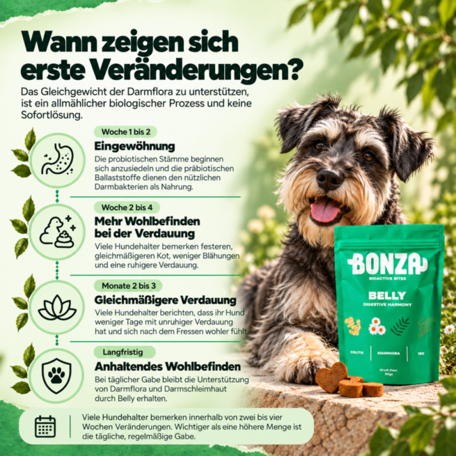 Wann zeigen sich erste Veränderungen Wann zeigen sich erste Veränderungen