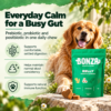 Daily digestive support chews for dogs