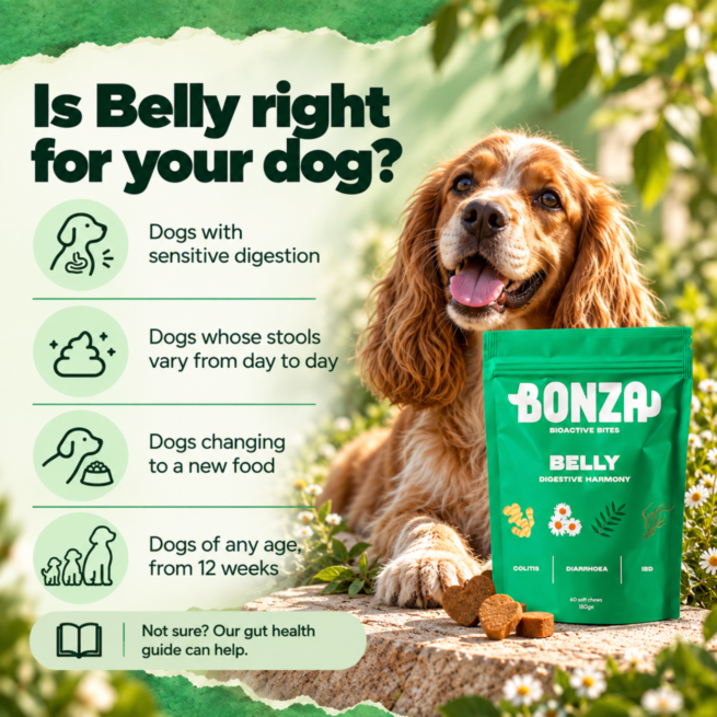 Which dogs Bonza Belly is for