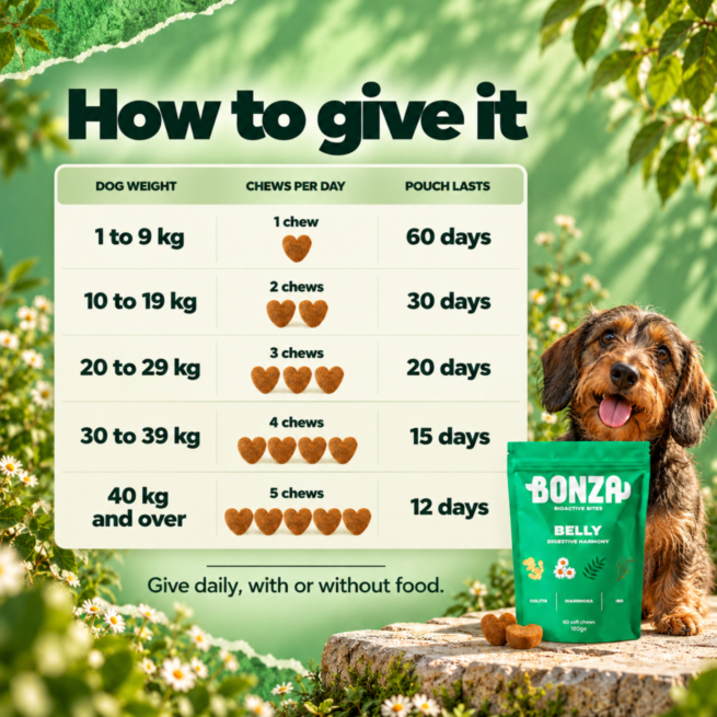 Bonza Belly feeding guide chews per day by dog weight