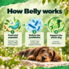 How Bonza Belly supports digestion in dogs