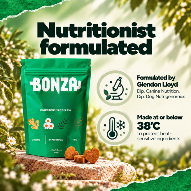 Bonza Belly formulated by Glendon Lloyd Dip. Canine Nutrition Dip. Dog Nutrigenomics