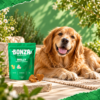 Dog outdoors with a healthy coat
