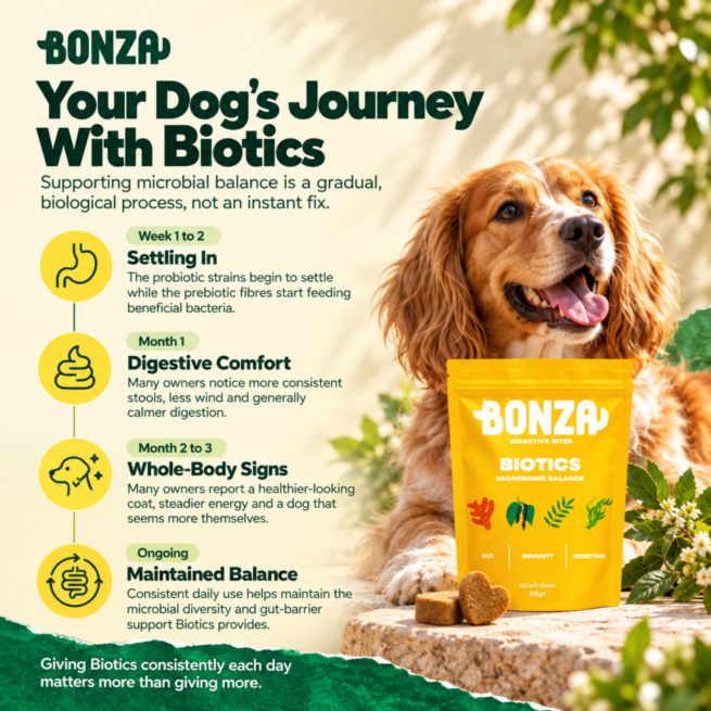 When to expect results with Bonza Biotics