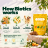How Bonza Biotics supports the gut microbiome in dogs
