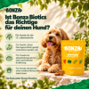 Ist Bonza Biotics das Richtige für deinen Hund