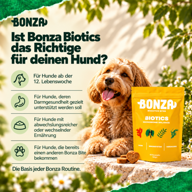 Ist Bonza Biotics das Richtige für deinen Hund