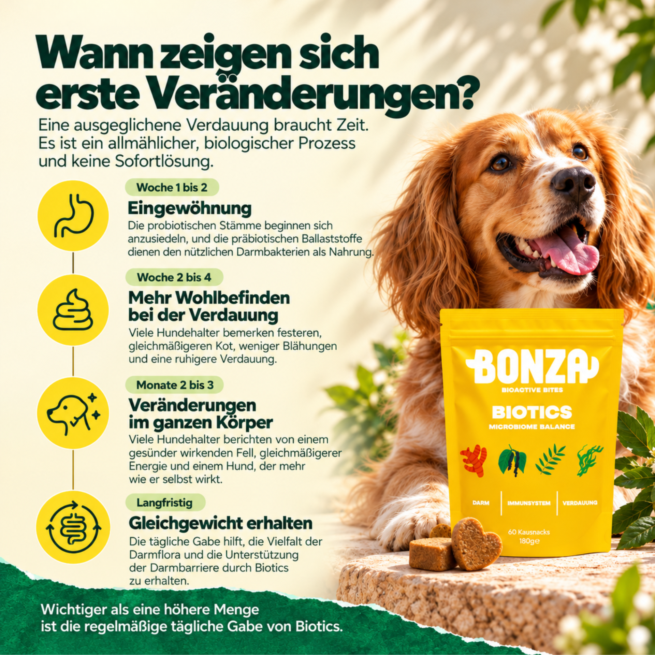 Wann zeigen sich erste Veränderungen