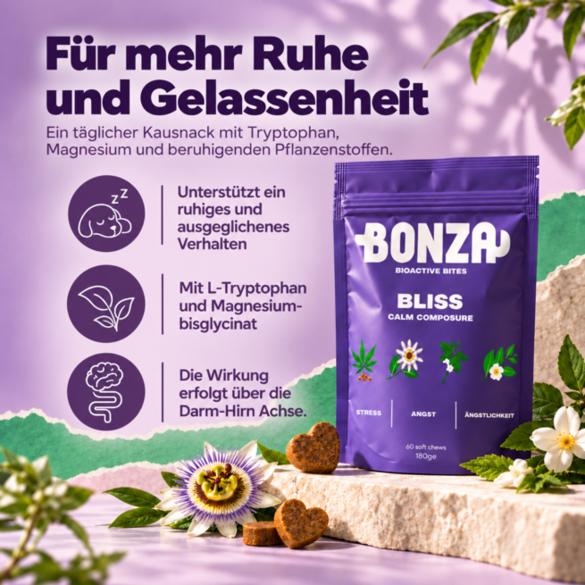 Tägliche Unterstützung für eine ausgeglichene Verdauung