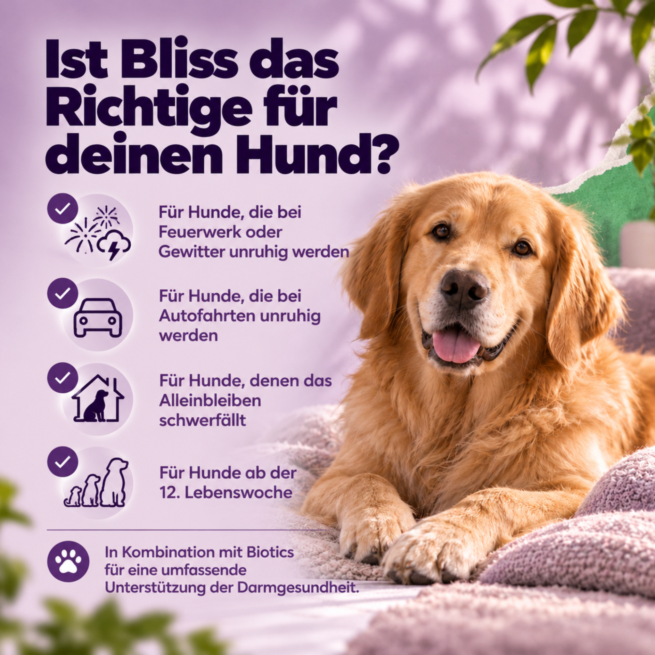 Ist Bonza Bliss das Richtige für deinen Hund