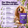 Wann zeigen sich erste Veränderungen