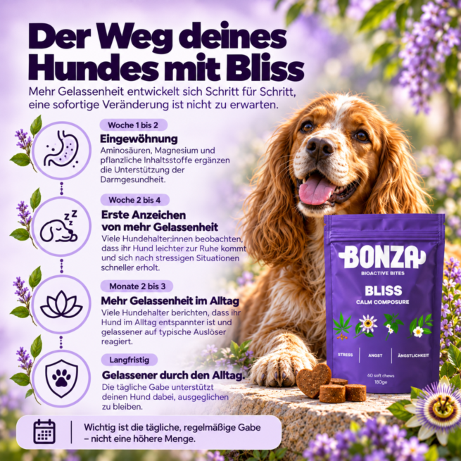 Wann zeigen sich erste Veränderungen
