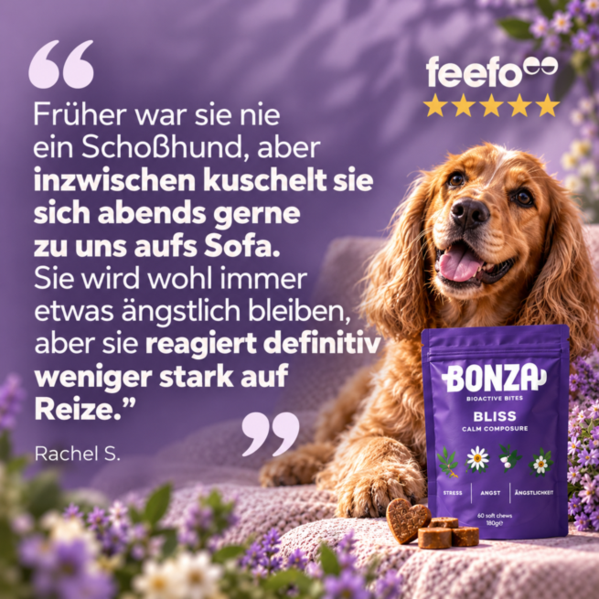 Kundenbewertung zu Bonza Bliss