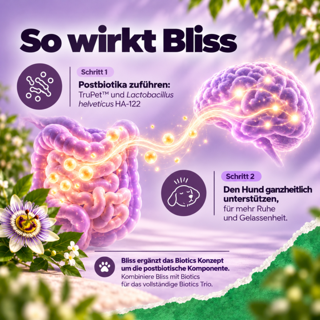 Bonza Bliss: how it works
