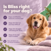 Which dogs Bonza Bliss is for