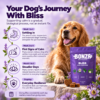 When to expect results with Bonza Bliss