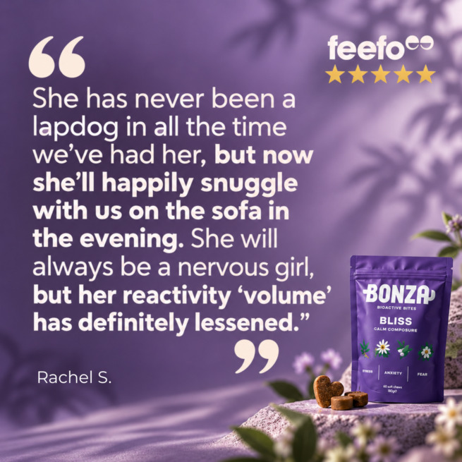 Bonza Bliss verified customer review
