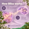 How Bonza Bliss supports the gut brain axis in dogs