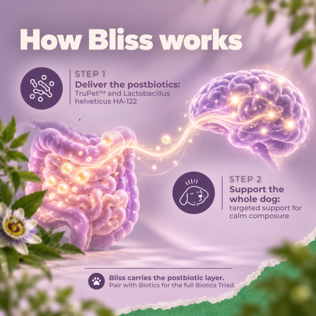 Bonza Bliss: how it works