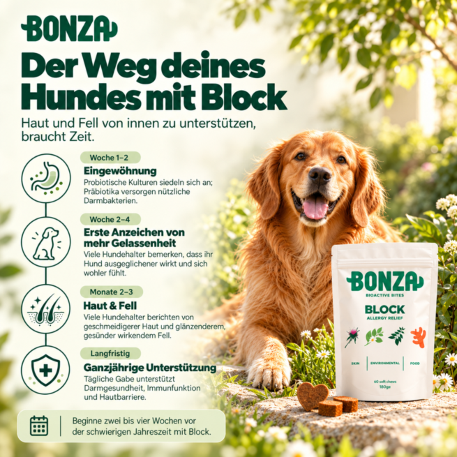 Wann zeigen sich erste Veränderungen