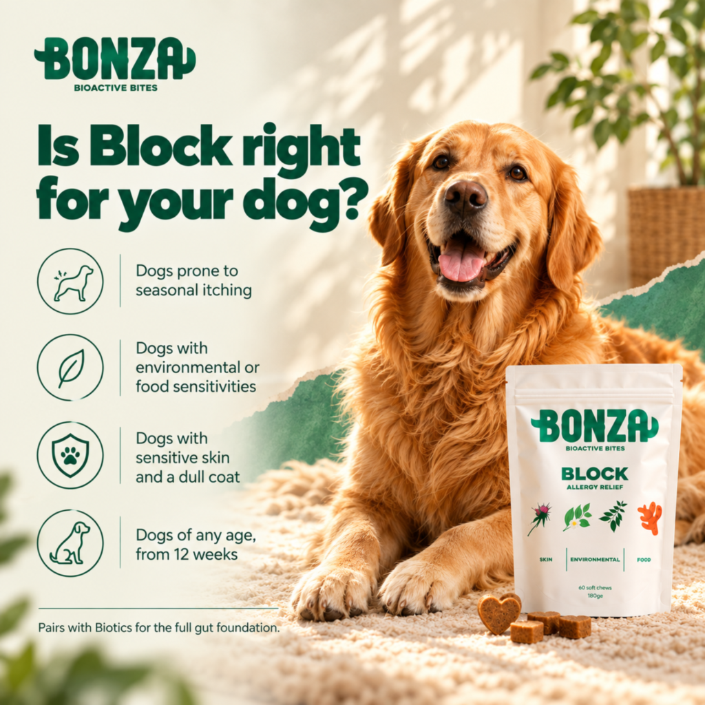 Bonza Block: why it's different