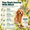 When to expect results with Bonza Block