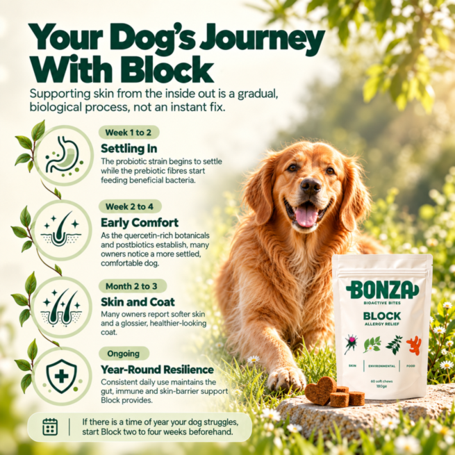 When to expect results with Bonza Block