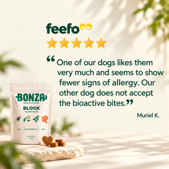 Bonza Block verified customer review