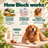 How Bonza Block supports skin and immunity in dogs