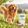 Dog outdoors with a healthy coat