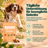 Tägliche Unterstützung für eine ausgeglichene Verdauung