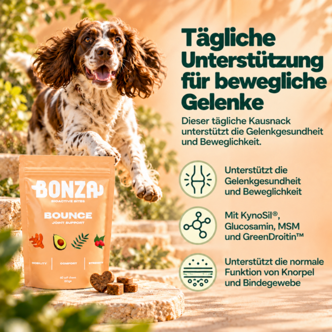 Tägliche Unterstützung für eine ausgeglichene Verdauung