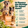Ist Bonza Bounce das Richtige für deinen Hund