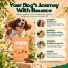When to expect results with Bonza Bounce