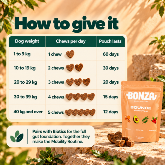 Bonza Bounce feeding guide chews per day by dog weight