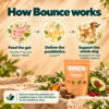 How Bonza Bounce supports the gut joint axis in dogs