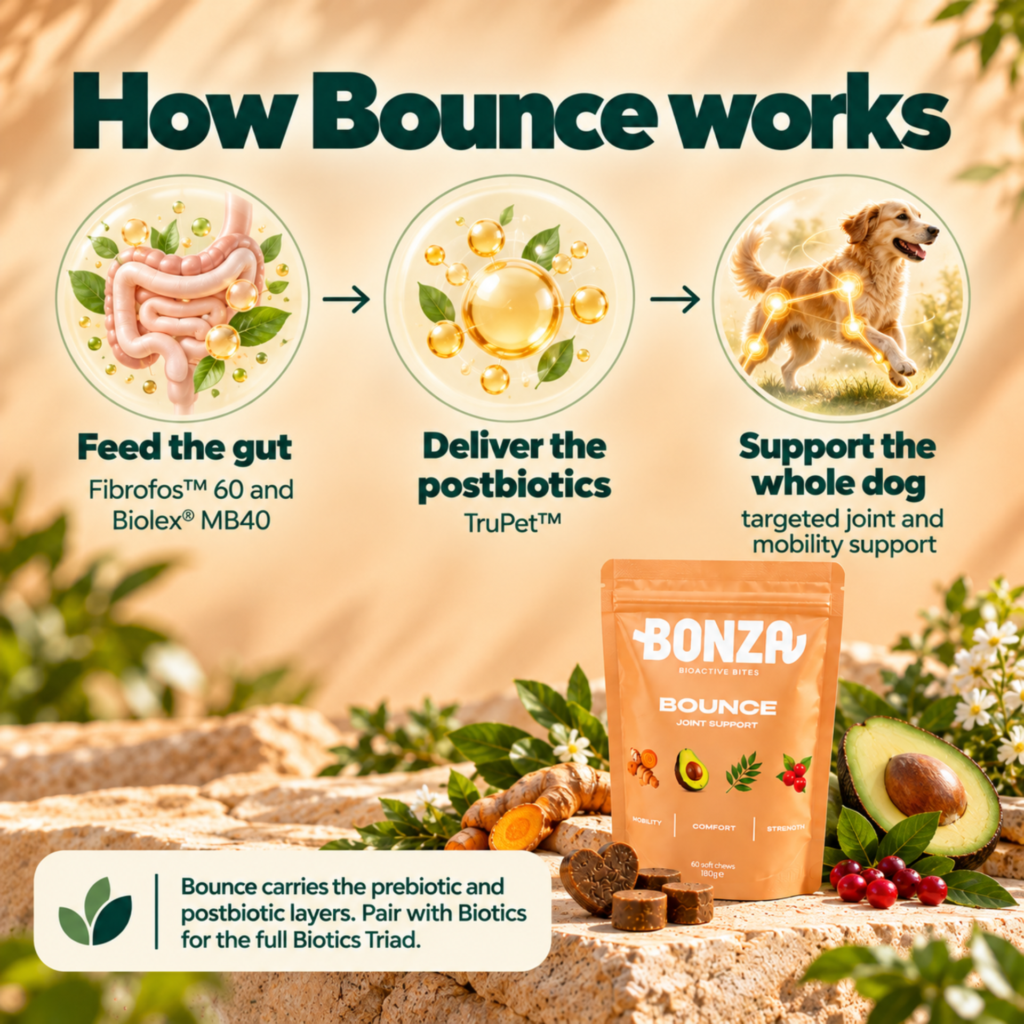 Bonza Bounce: how it works