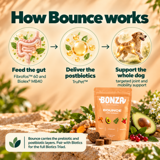 How Bonza Bounce supports the gut joint axis in dogs